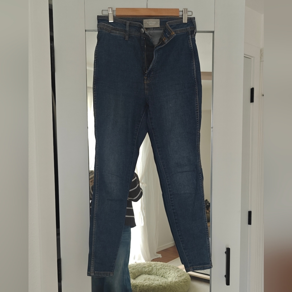 Everlane The Way High Skinny Croo Jeans 27